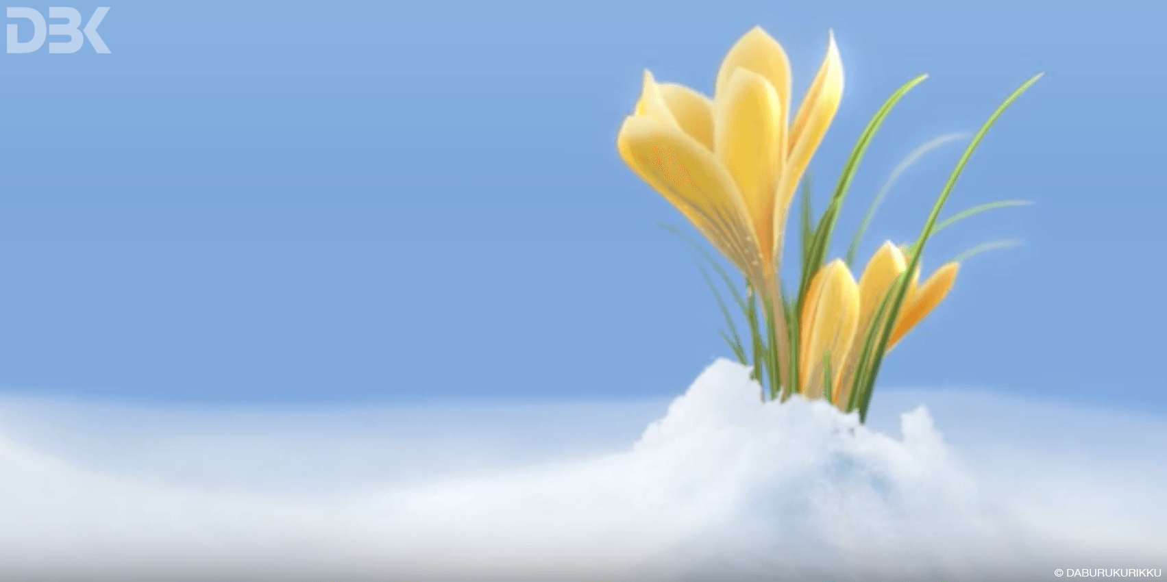 modellazione 3D animazione fiore crocus - Daburukurikku - Ticino